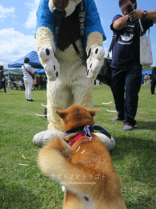 開田高原そば祭り_e0394031_06255892.jpg