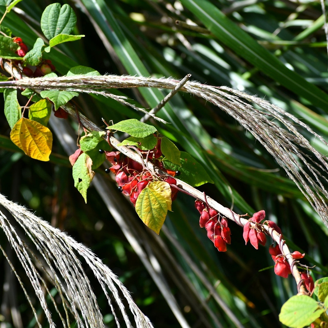 f0340732_23314646.jpg