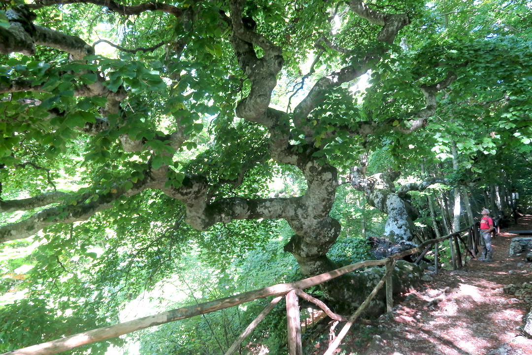 f0234936_437046.jpg