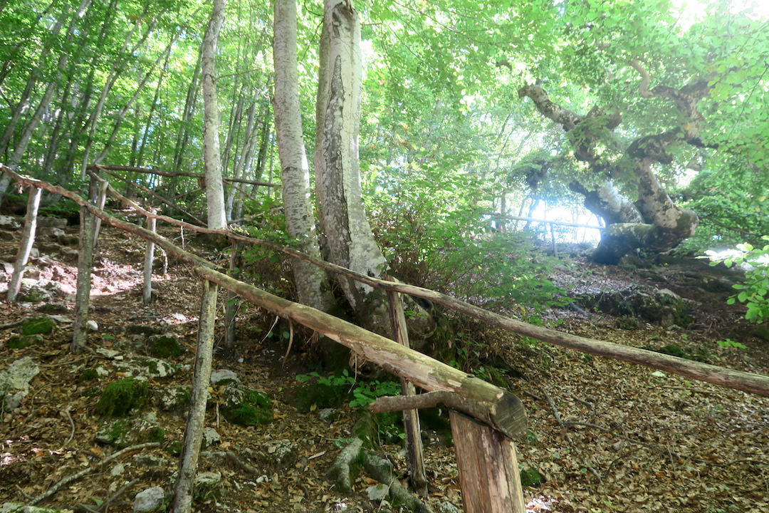 f0234936_440875.jpg