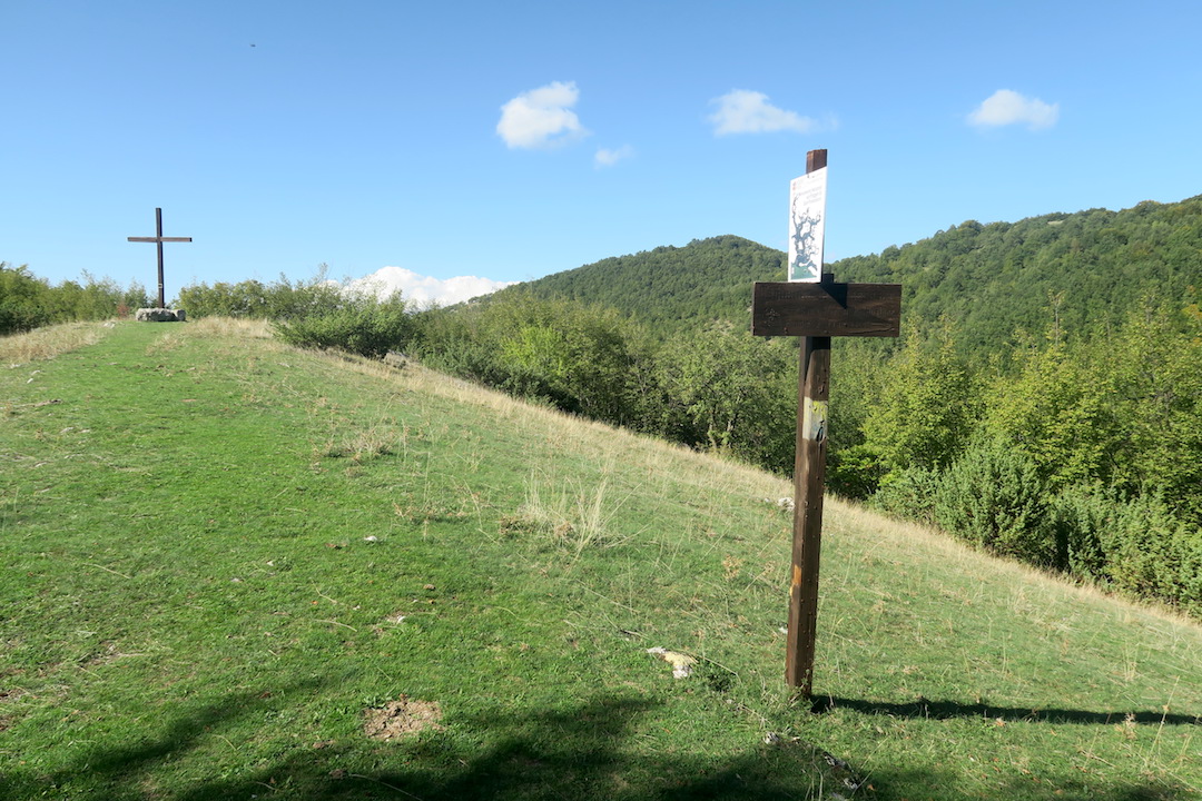 f0234936_44752.jpg