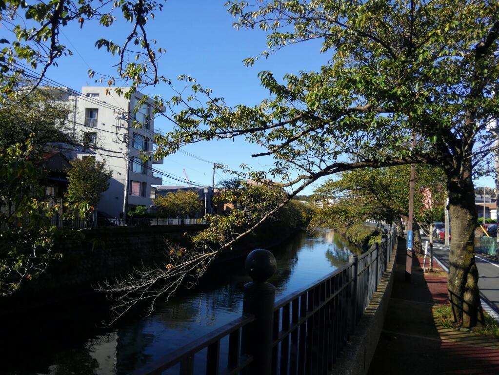 画素情報