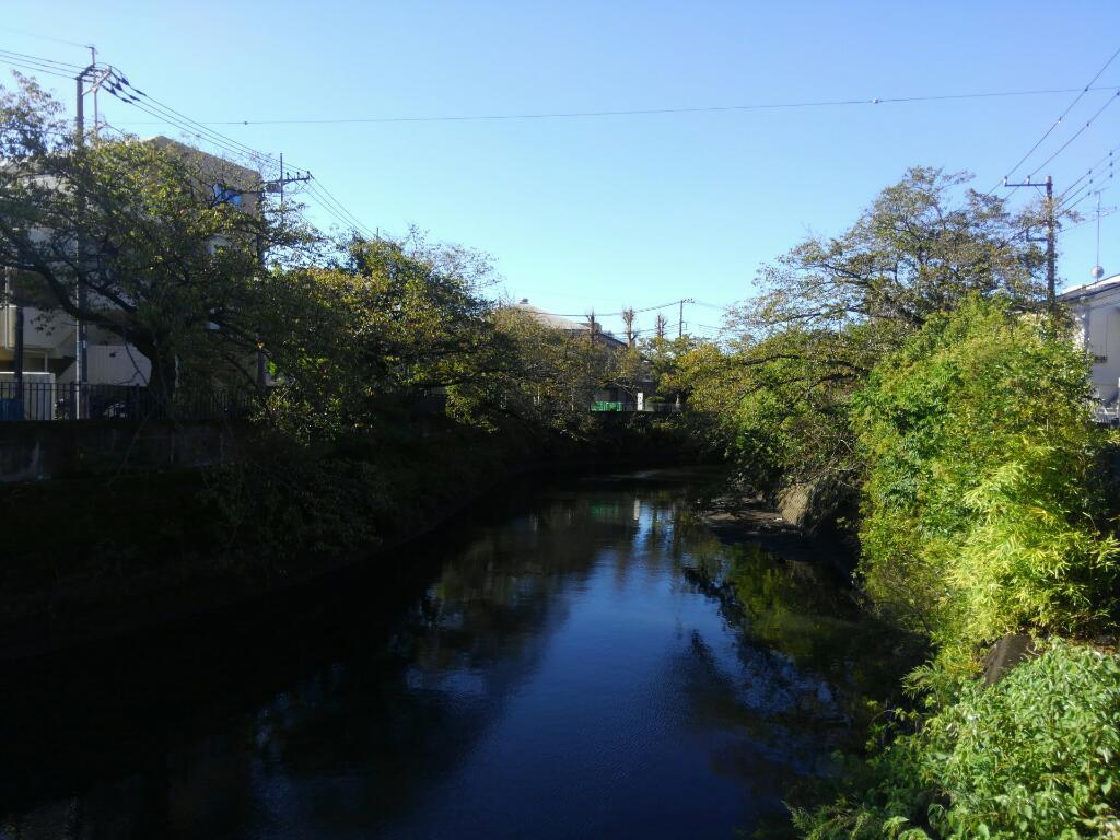 画素情報