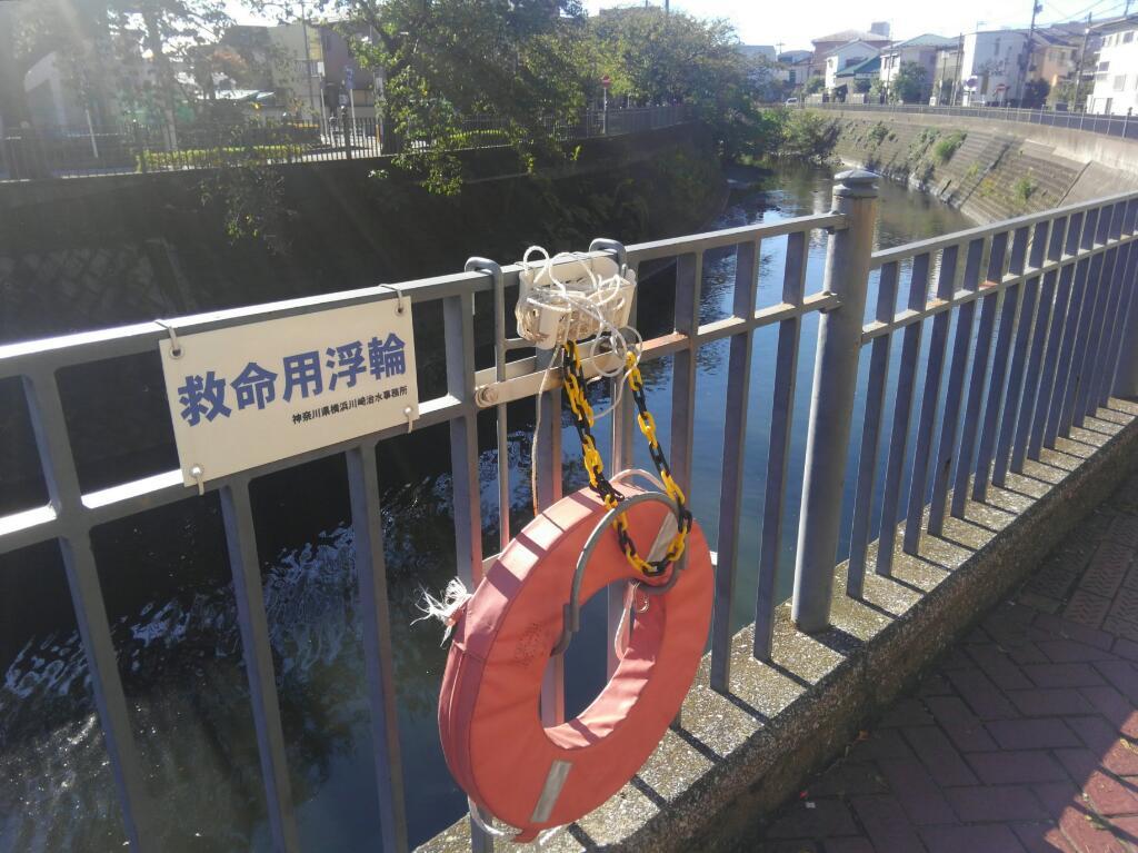 画素情報