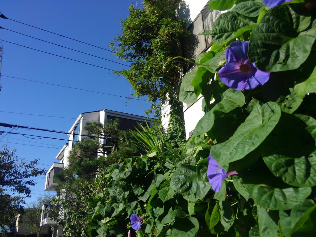 画素情報