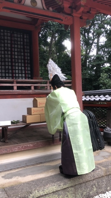 d0020139_14053919.jpeg