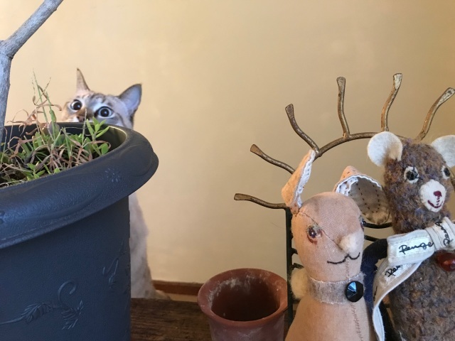 d0101846_06542771.jpeg