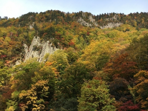 天人峡滝見台の紅葉と美瑛秋庭_e0326953_14354629.jpg