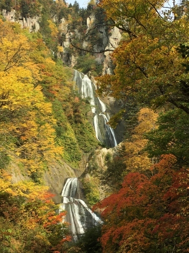 天人峡滝見台の紅葉と美瑛秋庭_e0326953_14371909.jpg
