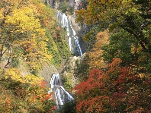 天人峡滝見台の紅葉と美瑛秋庭_e0326953_14461665.jpg