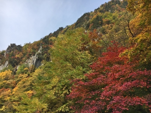 天人峡滝見台の紅葉と美瑛秋庭_e0326953_14491754.jpg