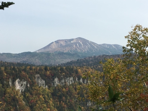 天人峡滝見台の紅葉と美瑛秋庭_e0326953_14580787.jpg
