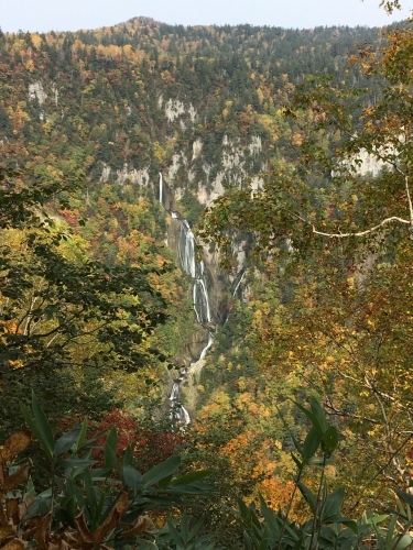 天人峡滝見台の紅葉と美瑛秋庭_e0326953_14594239.jpg