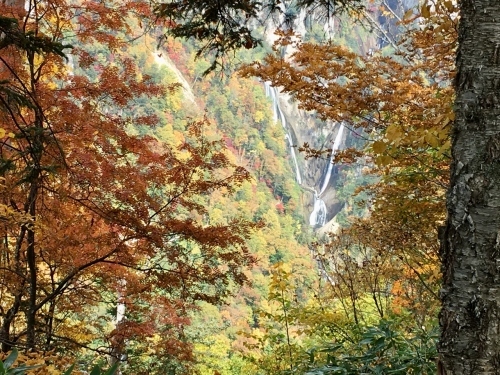 天人峡滝見台の紅葉と美瑛秋庭_e0326953_15034846.jpg