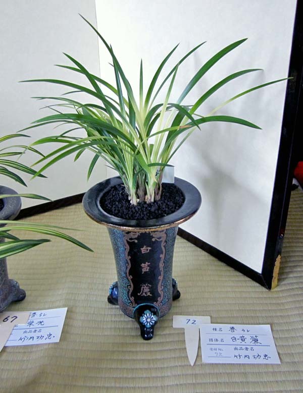秋季展示会2019　　　　　　　　　　　　　　　　　　　　　　　No.1984_d0103457_21090731.jpg