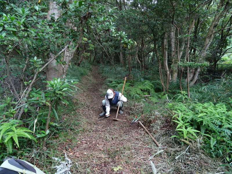 c0108460_16402659.jpg