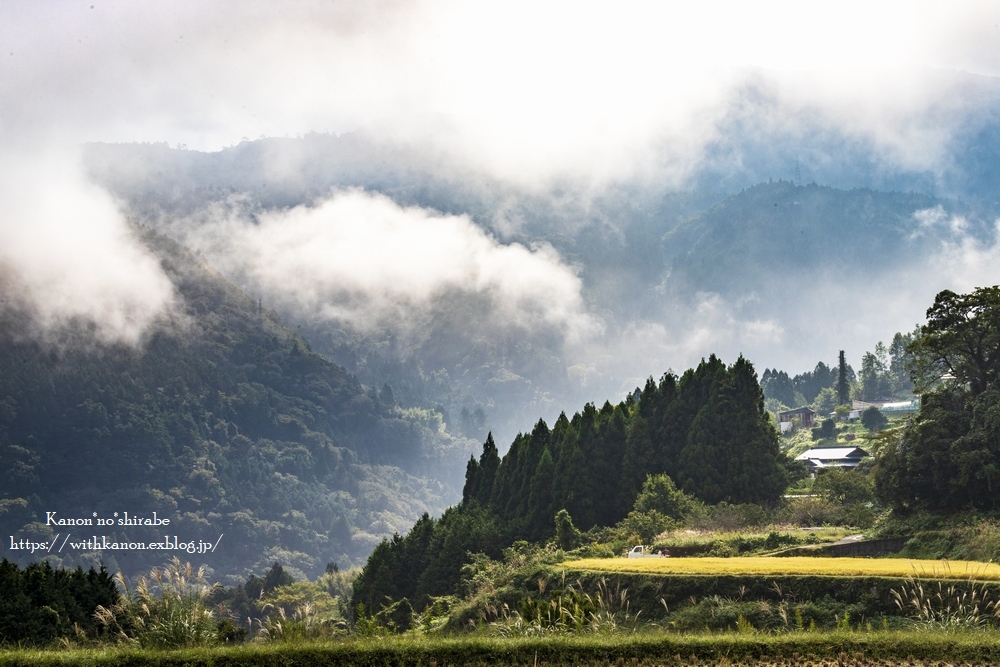 霧に包まれた里山_d0148187_22380087.jpg