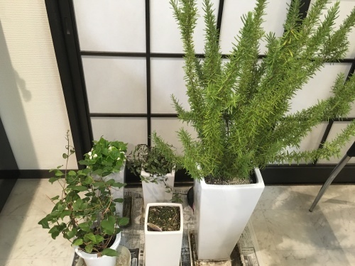 大型台風_f0347891_01361918.jpeg