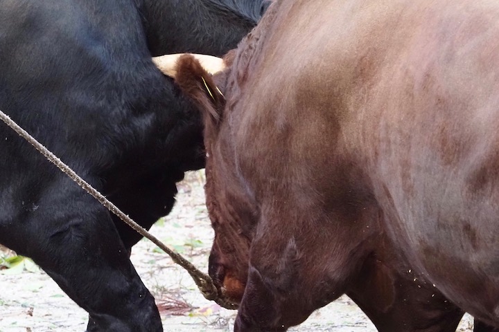 b0016600_9553988.jpg