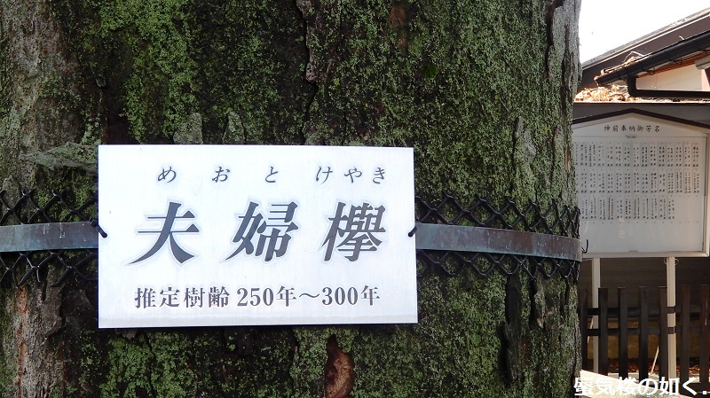 e0304702_20321017.jpg
