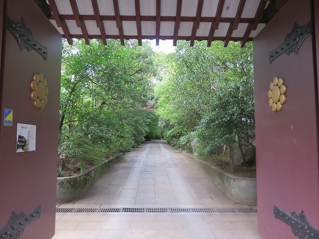 c0187004_19551673.jpg