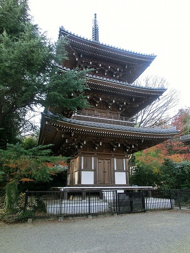 c0187004_19552223.jpg