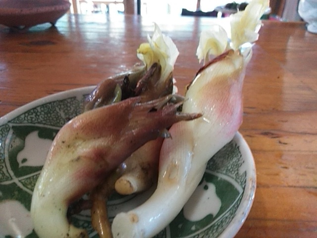 c0280108_22010498.jpg