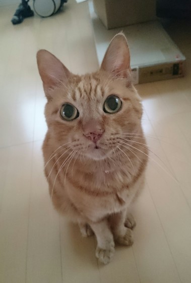 【近況報告】卒業して15年_d0046821_18392392.jpg