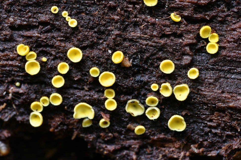 f0340732_18252525.jpg