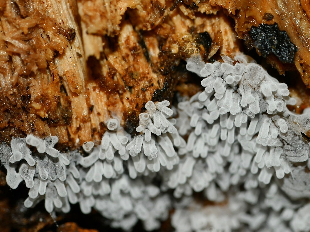f0340732_18273600.jpg