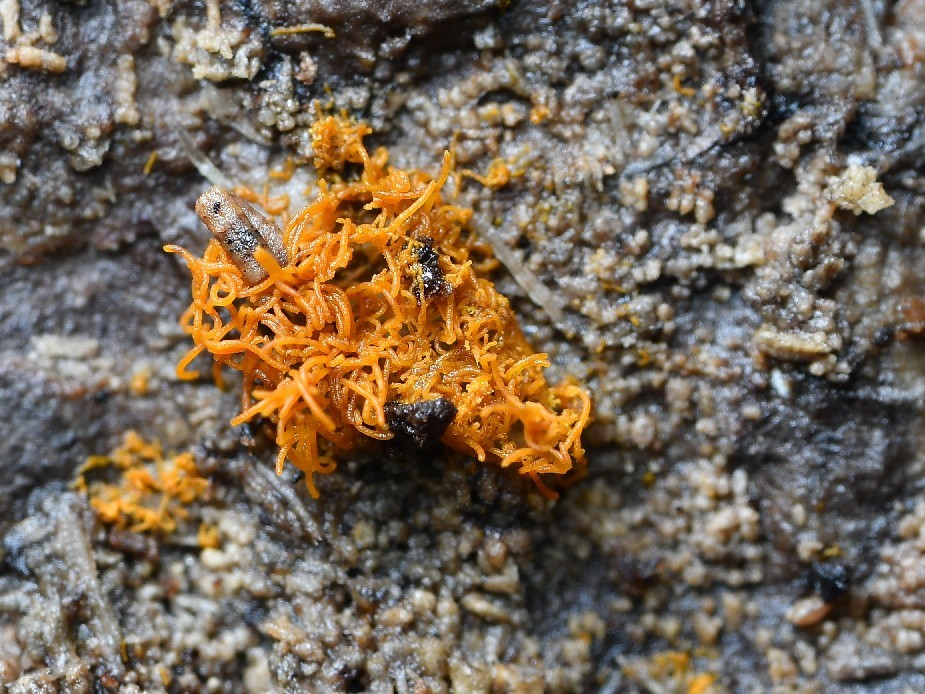 f0340732_18291392.jpg