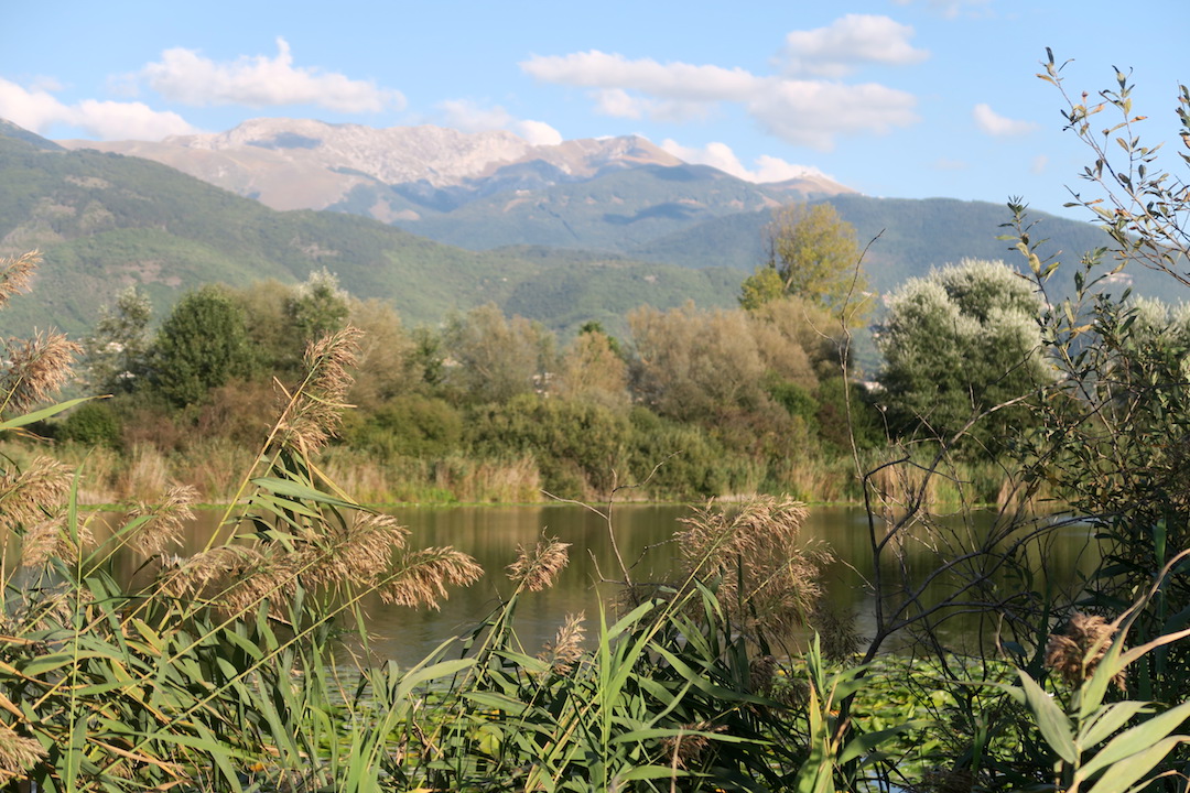 f0234936_6541435.jpg