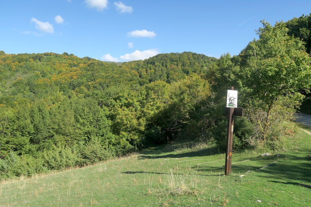 f0234936_7104098.jpg
