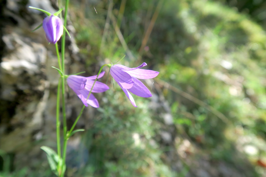 f0234936_7185871.jpg