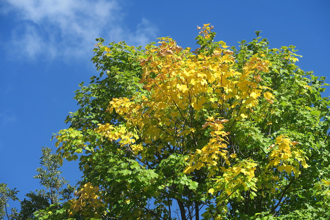 f0234936_720945.jpg