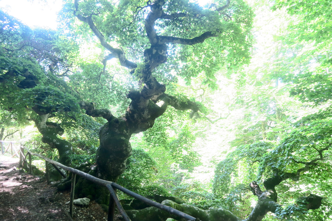 f0234936_791731.jpg