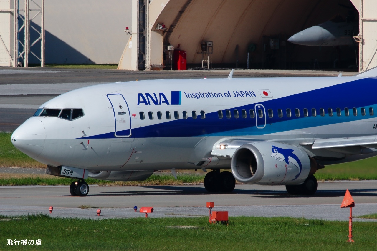 疲労 B737 ANAウイングス (EH)_b0313338_18250460.jpg