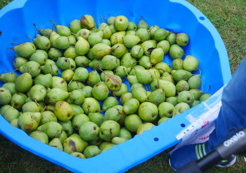 f0210340_03514856.jpg