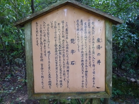 摩耶山 『桜谷から山寺尾根へ』 縦走路よりちょっときついルートを楽しもう_c0218841_11362820.jpg