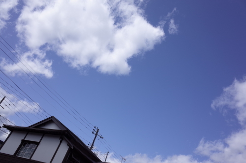 3連休も終わって_b0207642_23133712.jpg
