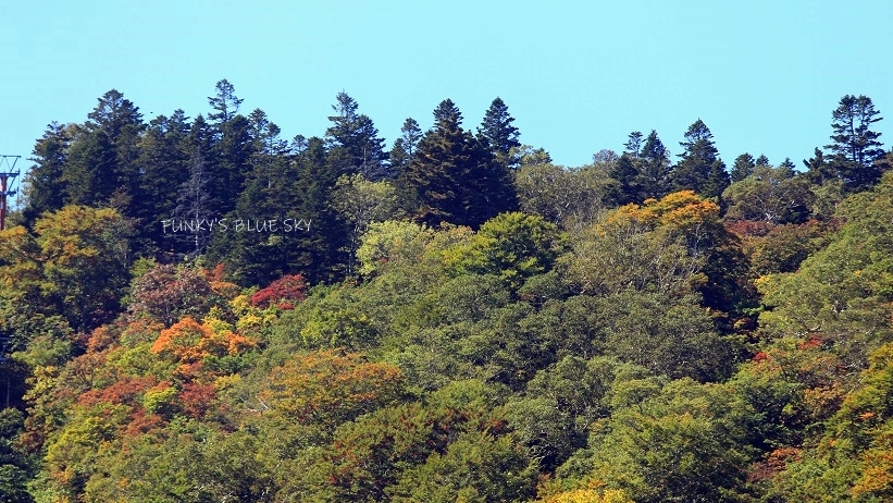 c0145250_15082932.jpg