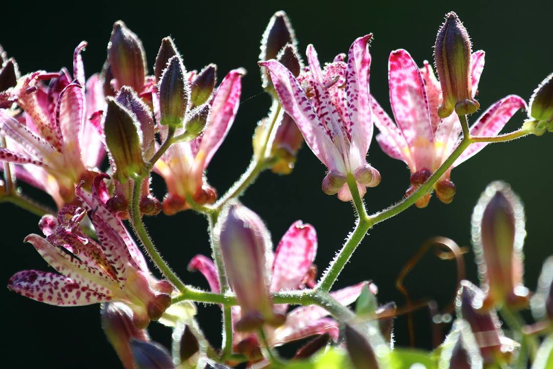 e0403850_00171876.jpg