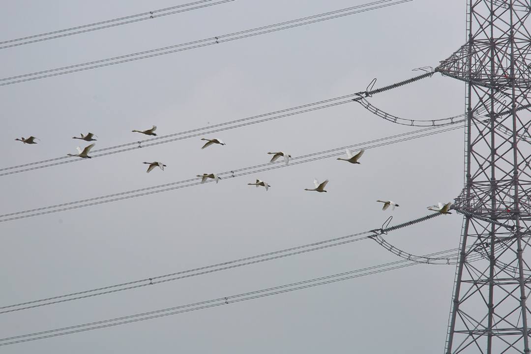 e0403850_15142099.jpg