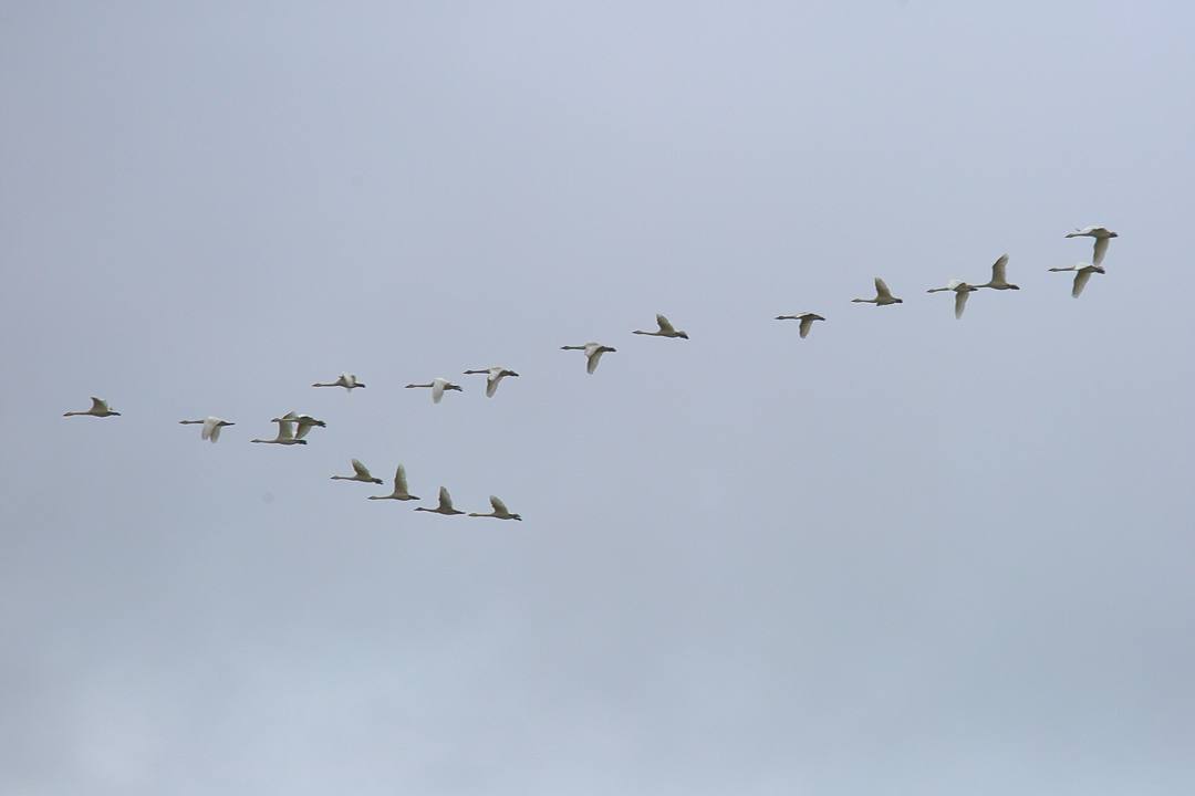 e0403850_15142799.jpg
