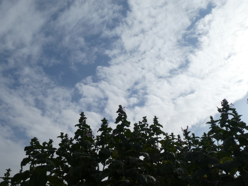c0108460_15093422.jpg