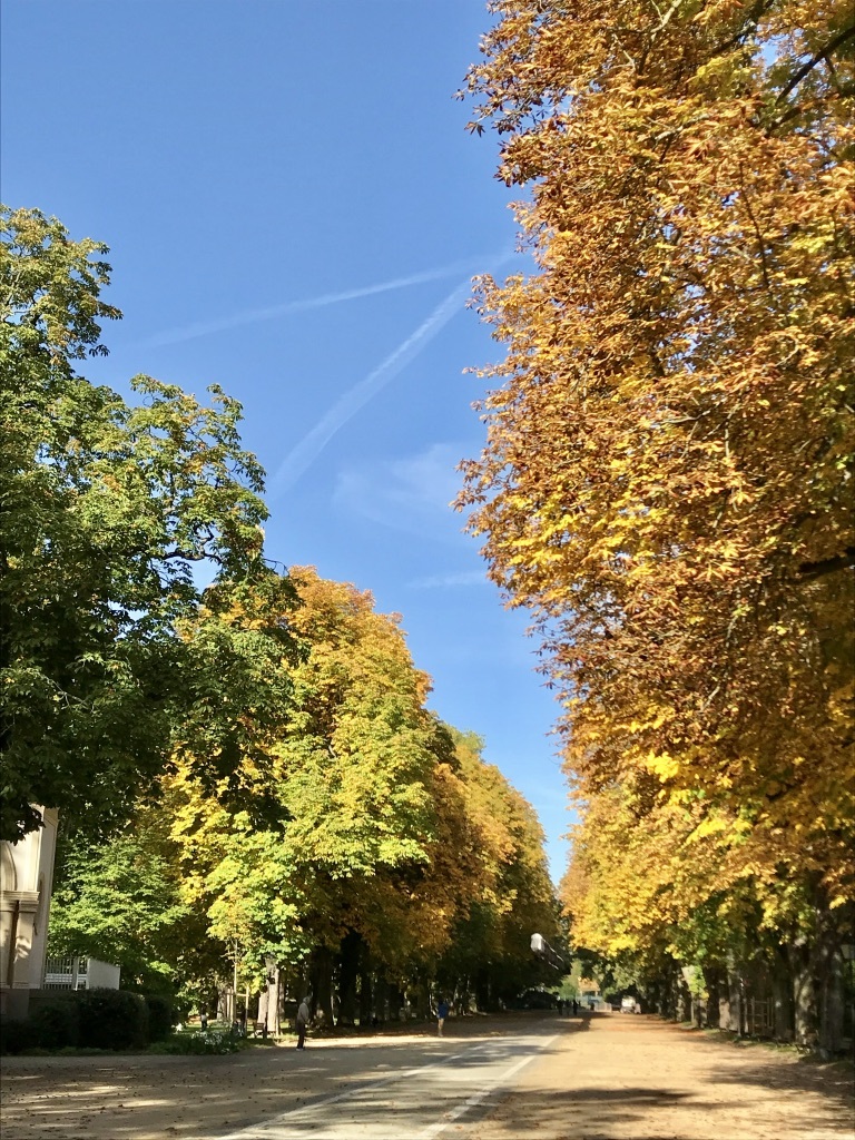 10月+11月のキャンペーン情報です♪_c0194065_19174609.jpg