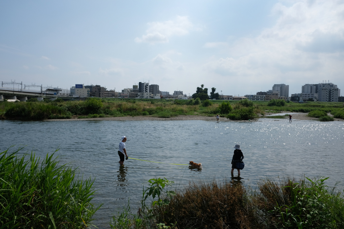 河原の楽しみ_c0084666_16150163.jpg