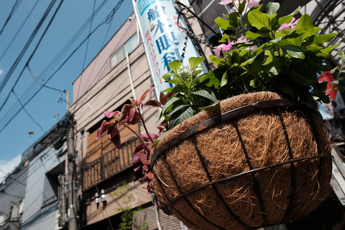 食は十条にあり~Ⅲ_c0084666_17313577.jpg