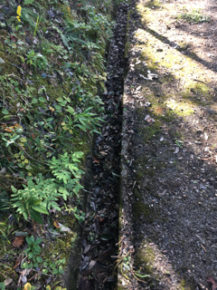 溝掃除_f0363168_16415076.png
