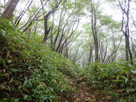 d0182075_21002013.jpg